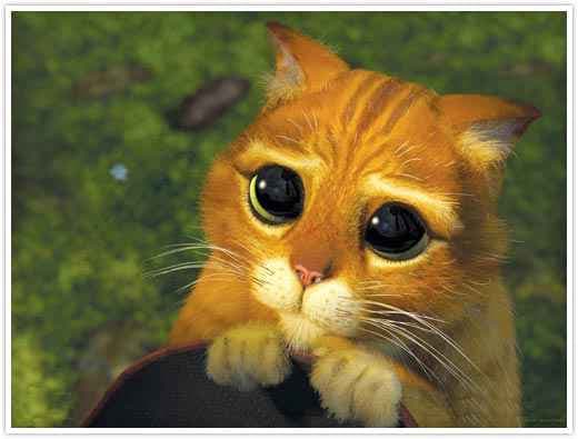 begging