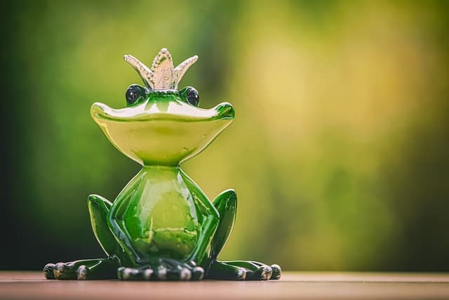 frog g25dc0c319 640